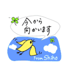 【Shiho】四つ葉のクローバー＆ピヨ（個別スタンプ：17）