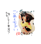 我が家のほんちゃん。（個別スタンプ：9）