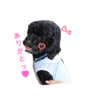 さくらと仲間たち♡（個別スタンプ：1）