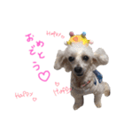 さくらと仲間たち♡（個別スタンプ：11）
