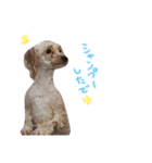 さくらと仲間たち♡（個別スタンプ：13）