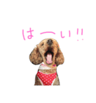 さくらと仲間たち♡（個別スタンプ：14）