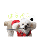 さくらと仲間たち♡（個別スタンプ：16）
