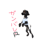さくらと仲間たち♡（個別スタンプ：25）