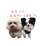 さくらと仲間たち♡（個別スタンプ：31）