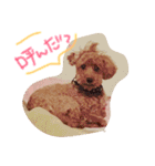 チロルくん（個別スタンプ：3）