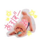 チロルくん（個別スタンプ：5）