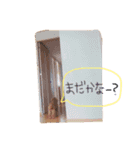チロルくん（個別スタンプ：8）