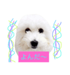 HELLO  beruni-ni（個別スタンプ：2）