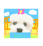 HELLO  beruni-ni（個別スタンプ：3）