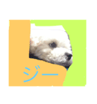 HELLO  beruni-ni（個別スタンプ：7）