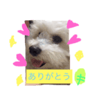 HELLO  beruni-ni（個別スタンプ：8）
