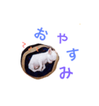 パピーチワワちゃんの日々（個別スタンプ：1）