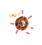 パピーチワワちゃんの日々（個別スタンプ：4）
