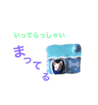 パピーチワワちゃんの日々（個別スタンプ：5）