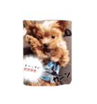 マルプーが伝えたい事（個別スタンプ：8）