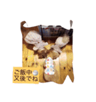マルプーが伝えたい事（個別スタンプ：21）