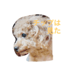 チップのきもち（個別スタンプ：4）