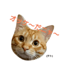 テト 第一段（個別スタンプ：3）