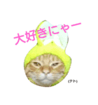 テト 第一段（個別スタンプ：4）