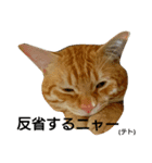 テト 第一段（個別スタンプ：6）