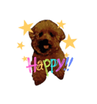 minto！！（個別スタンプ：3）