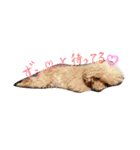minto！！（個別スタンプ：4）