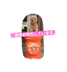 minto！！（個別スタンプ：5）