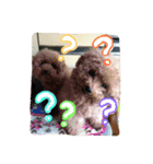 minto！！（個別スタンプ：7）