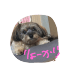 pu-desu（個別スタンプ：5）