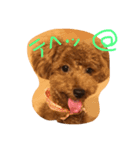 ひな's P（個別スタンプ：3）