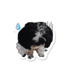 Ing Ing lazy dog（個別スタンプ：3）