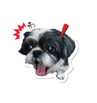Ing Ing lazy dog（個別スタンプ：7）