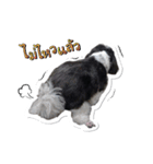 Ing Ing lazy dog（個別スタンプ：8）