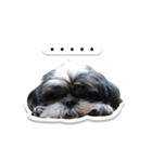 Ing Ing lazy dog（個別スタンプ：15）