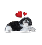 Ing Ing lazy dog（個別スタンプ：16）