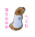 LUNA言葉（個別スタンプ：4）