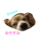 LUNA言葉（個別スタンプ：5）