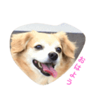 LUNA言葉（個別スタンプ：8）