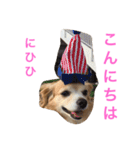 LUNA言葉（個別スタンプ：9）