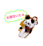 トイプードルのもこ（個別スタンプ：1）