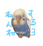 セキセイインコのきのこ（個別スタンプ：5）