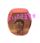 ゆるり猫さん（個別スタンプ：7）