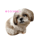アシモの1日（個別スタンプ：1）