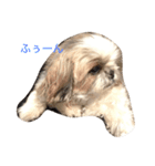 アシモの1日（個別スタンプ：4）