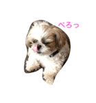アシモの1日（個別スタンプ：5）