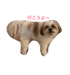 アシモの1日（個別スタンプ：7）