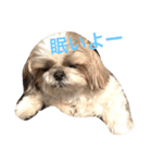 アシモの1日（個別スタンプ：12）