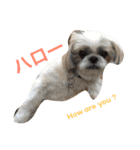 アシモの1日（個別スタンプ：15）