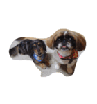 我が家の愛犬U・x・U（個別スタンプ：3）